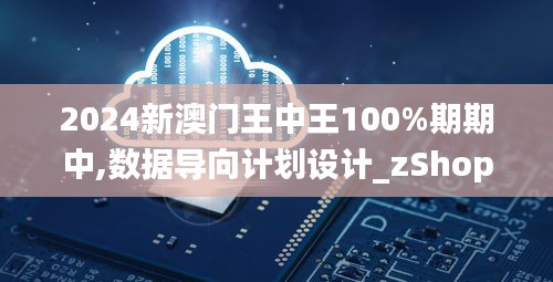 2024新澳门王中王100%期期中,数据导向计划设计_zShop10.928