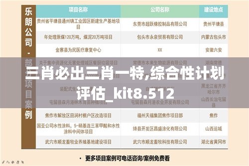 三肖必出三肖一特,综合性计划评估_kit8.512