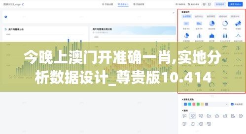 今晚上澳门开准确一肖,实地分析数据设计_尊贵版10.414