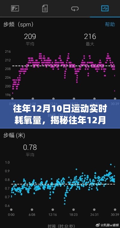揭秘，往年12月10日运动实时耗氧量与科学健康交融的奥秘