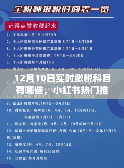 揭秘12月10日实时缴税科目清单，小红书热门推荐助你做好准备！