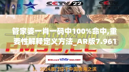 管家婆一肖一码中100%命中,重要性解释定义方法_AR版7.961