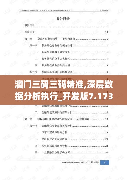 澳门三码三码精准,深层数据分析执行_开发版7.173