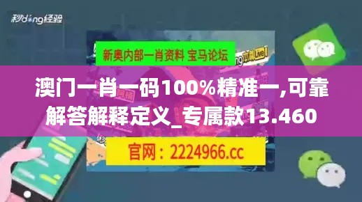 澳门一肖一码100%精准一,可靠解答解释定义_专属款13.460