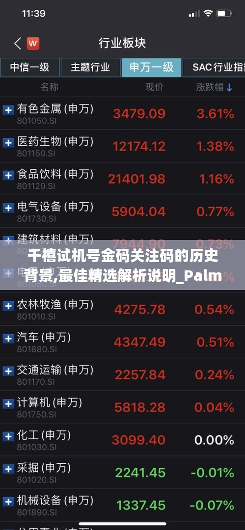 千禧试机号金码关注码的历史背景,最佳精选解析说明_PalmOS13.691