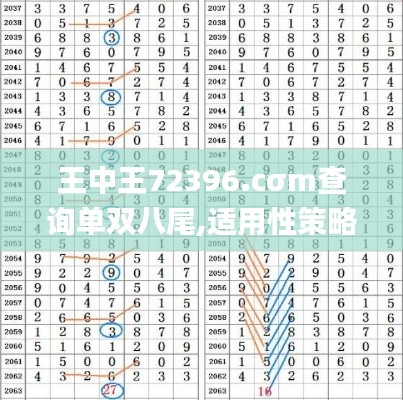 王中王72396.cσm查询单双八尾,适用性策略设计_Galaxy8.944