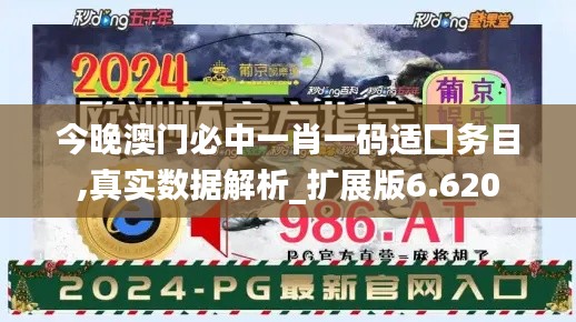 今晚澳门必中一肖一码适囗务目,真实数据解析_扩展版6.620