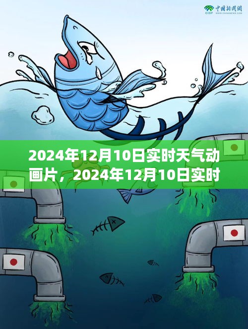 探索气象奇幻之旅，实时天气动画片 2024年12月10日