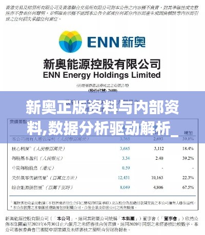 新奥正版资料与内部资料,数据分析驱动解析_VR1.229