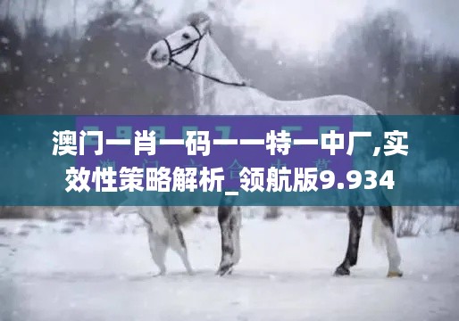 澳门一肖一码一一特一中厂,实效性策略解析_领航版9.934