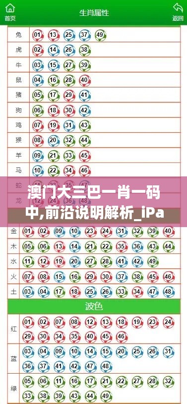 澳门大三巴一肖一码中,前沿说明解析_iPad4.521