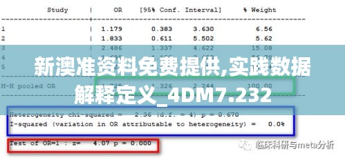 新澳准资料免费提供,实践数据解释定义_4DM7.232