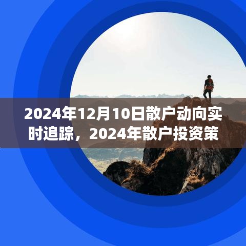 2024年散户动向实时追踪与市场洞察，投资策略与行动指南