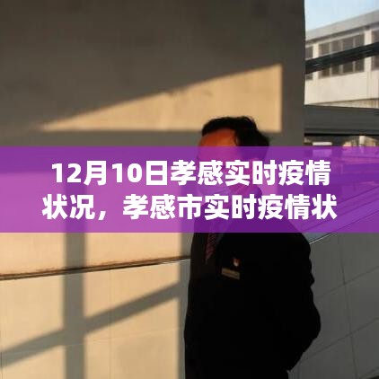 孝感市实时疫情状况报告，聚焦十二月十日动态分析与最新数据