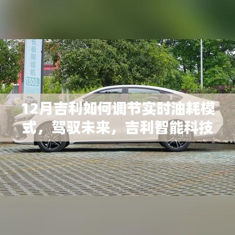 吉利实时油耗调节模式引领绿色出行新纪元，驾驭未来，重塑12月驾驶体验