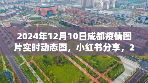 2024年成都疫情实时动态图片更新，小红书上的最新动态分享