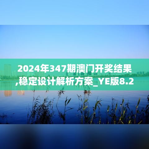 2024年347期澳门开奖结果,稳定设计解析方案_YE版8.236