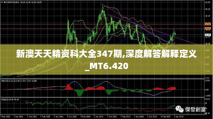 新澳天天精资科大全347期,深度解答解释定义_MT6.420