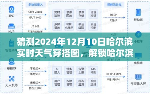 解锁哈尔滨时尚穿搭指南，预测2024年12月10日哈尔滨实时天气穿搭图