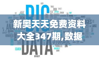 新奥天天免费资料大全347期,数据驱动计划解析_专属款14.554