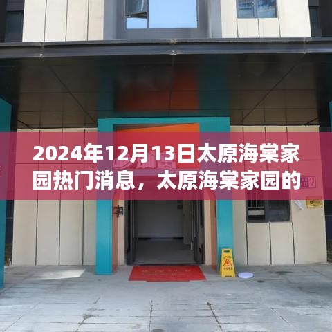 太原海棠家园蜕变记，学习成就梦想，自信照亮未来（2024年12月13日热门消息）