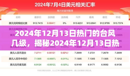 揭秘，2024年12月13日热门台风等级及深度解析与科普知识分享