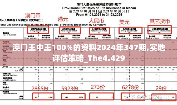 澳门王中王100%的资料2024年347期,实地评估策略_The4.429