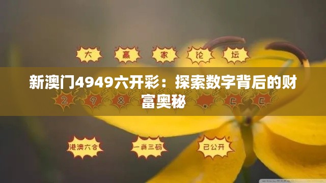 新澳门4949六开彩：探索数字背后的财富奥秘