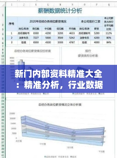 新门内部资料精准大全：精准分析，行业数据一目了然