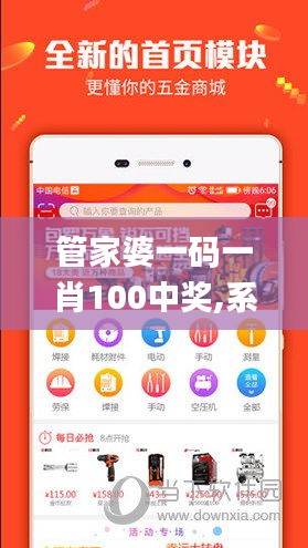 管家婆一码一肖100中奖,系统化推进策略探讨_复刻款7.425