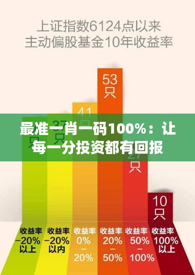 最准一肖一码100%：让每一分投资都有回报