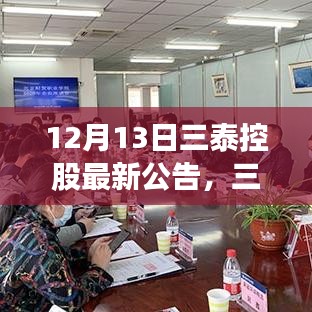 三泰控股最新公告深度解析，产品特性、用户体验与市场竞争力全面剖析报告发布