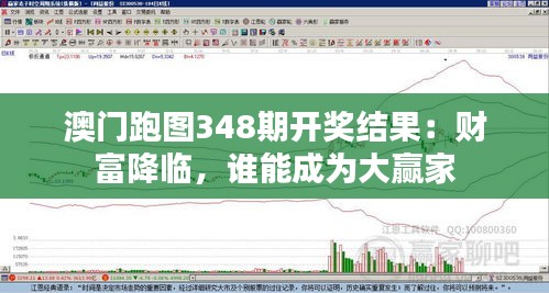 澳门跑图348期开奖结果：财富降临，谁能成为大赢家