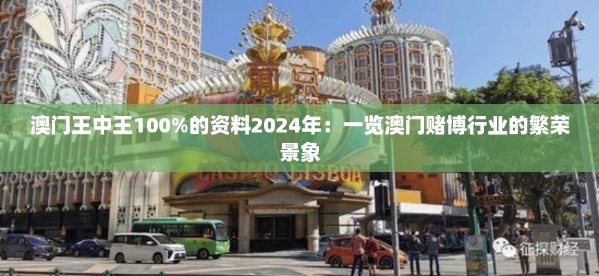 澳门王中王100%的资料2024年：一览澳门赌博行业的繁荣景象