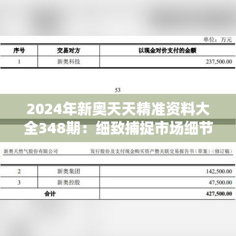 2024年新奥天天精准资料大全348期：细致捕捉市场细节，领航新篇章