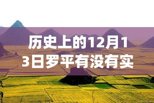 历史上的12月13日罗平车辆实时免费上牌服务解析与深度评测