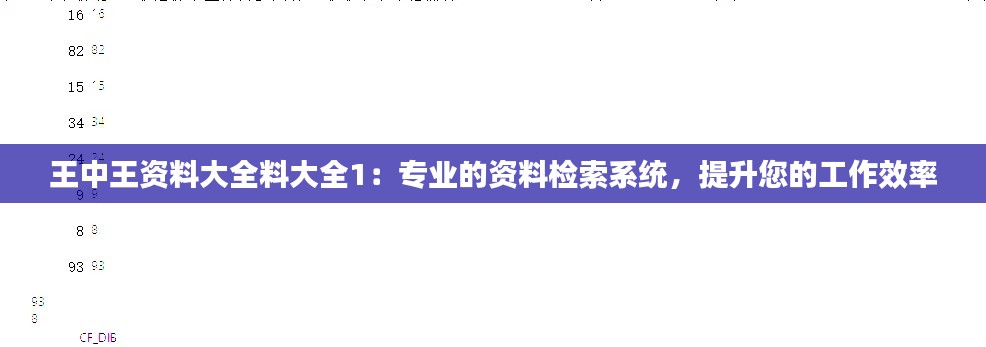 王中王资料大全料大全1：专业的资料检索系统，提升您的工作效率