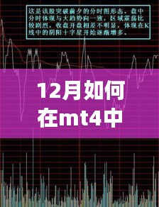 MT4平台实时追踪A股走势，策略、技巧详解与12月实战指南