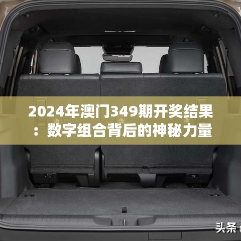 2024年澳门349期开奖结果：数字组合背后的神秘力量