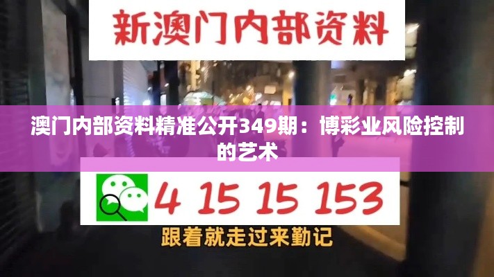 澳门内部资料精准公开349期：博彩业风险控制的艺术