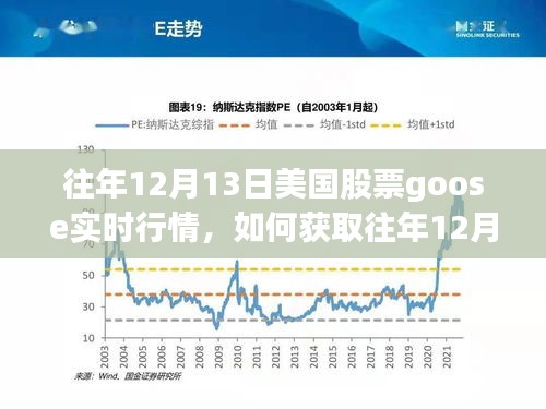 获取往年12月13日美国股票GOOSE实时行情的详细步骤指南