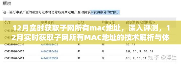 深入解析与体验，12月实时获取子网所有MAC地址的技术与评测报告