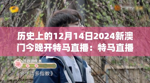 历史上的12月14日2024新澳门今晚开特马直播：特马直播，让观众零距离感受历史