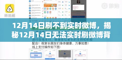 揭秘，为何无法实时刷微博？原因及解决方案探讨（针对12月14日）