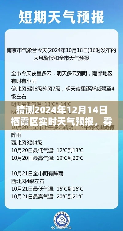 雾探晴日，探秘栖霞区天气预报之旅，一次天气预报小冒险（2024年12月14日）