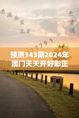 预测343期2024年澳门天天开好彩正版资料：理性投注，智慧选择