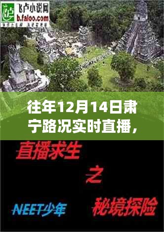 往年12月14日肃宁路况直播回顾，秘境探秘与自然美景的邂逅