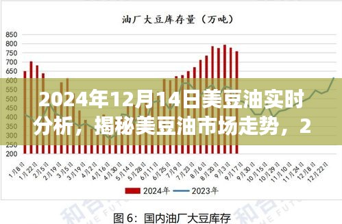 揭秘美豆油市场走势，2024年12月14日实时分析与未来行情展望