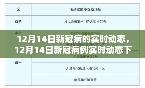 12月14日新冠病例实时动态观察与某某观点探析