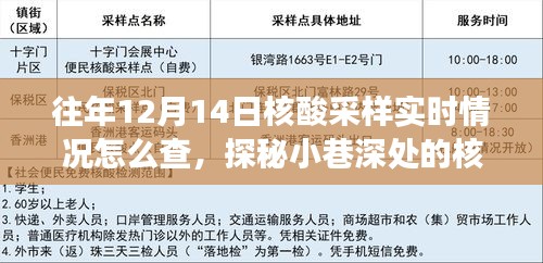 探秘核酸采样实时情报站，揭秘鲜为人知的小巷故事与往年12月14日核酸采样实时情况查询指南